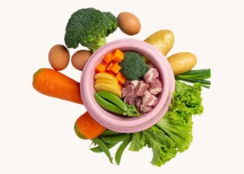Pregnancy Diet