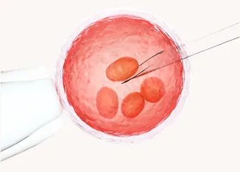 IVF success rate