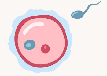 Myths IVF Treatment