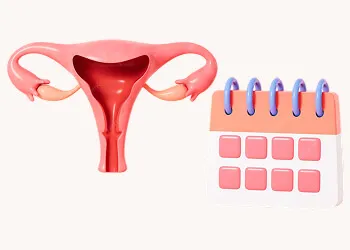 Ovulation Tracker
