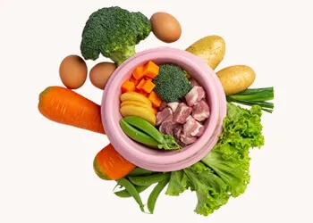 Fertility-Boosting Food