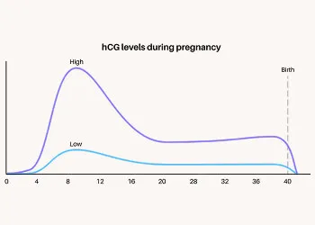 Low hCG Levels in Early Pregnancy